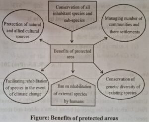 Benefits of protected areas